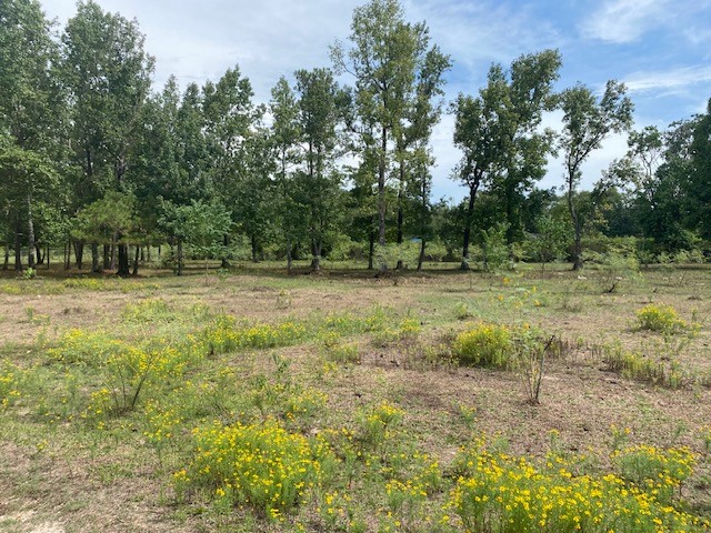 0 Firetower Road photo 4
