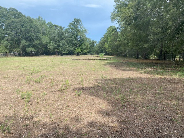 0 Firetower Road photo 6
