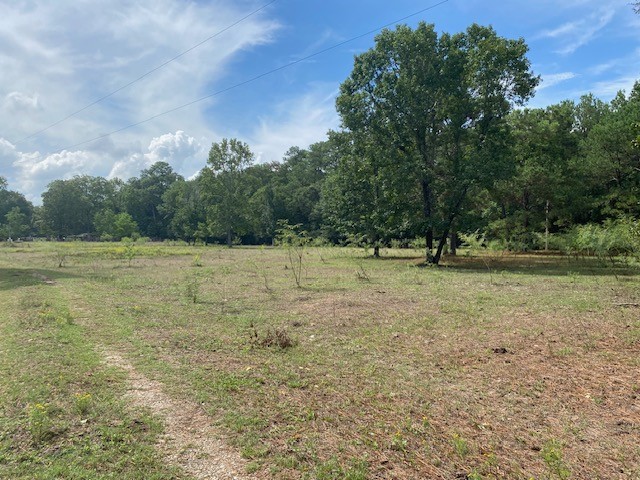 0 Firetower Road photo 8