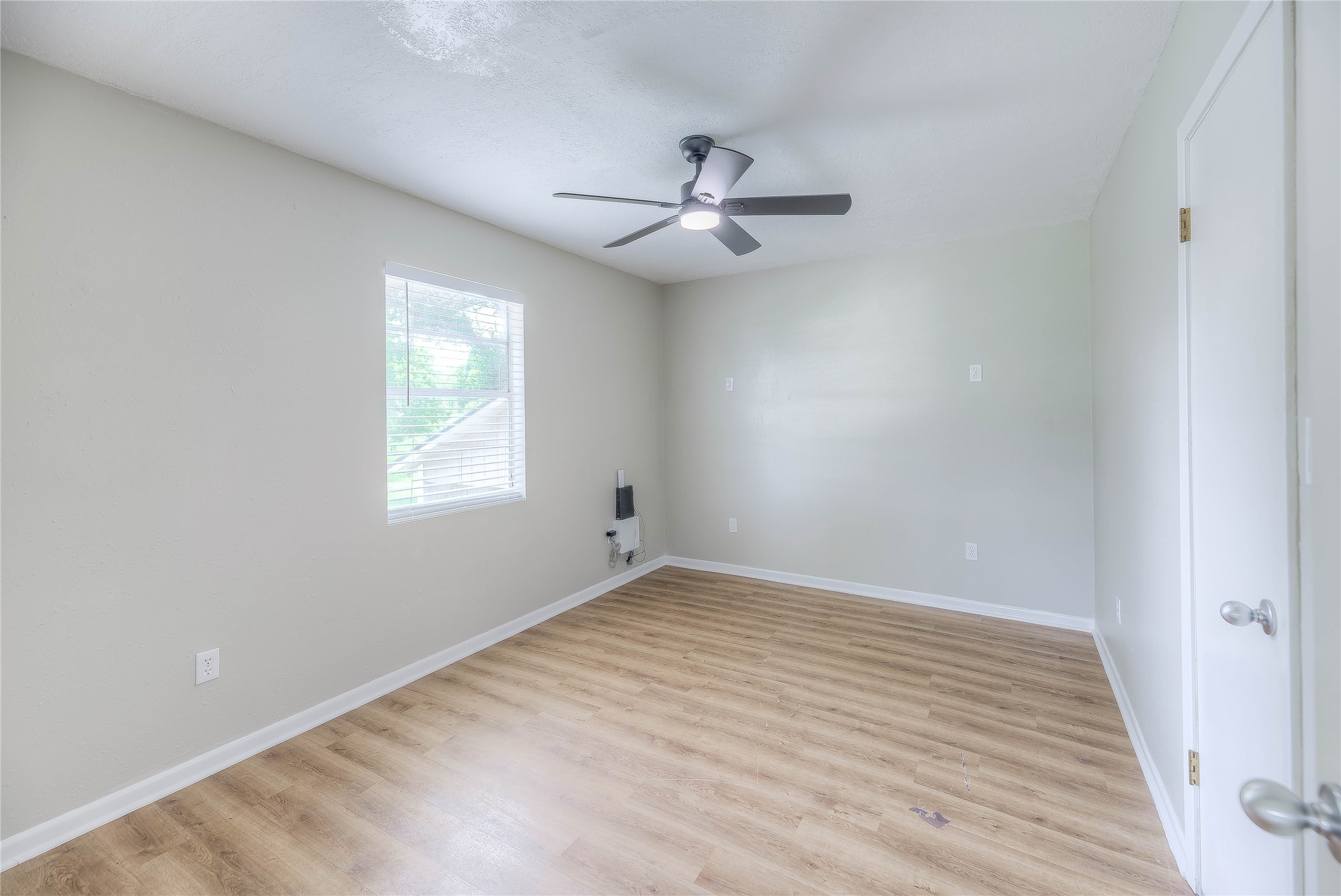 342 Governor Hogg Drive photo 19