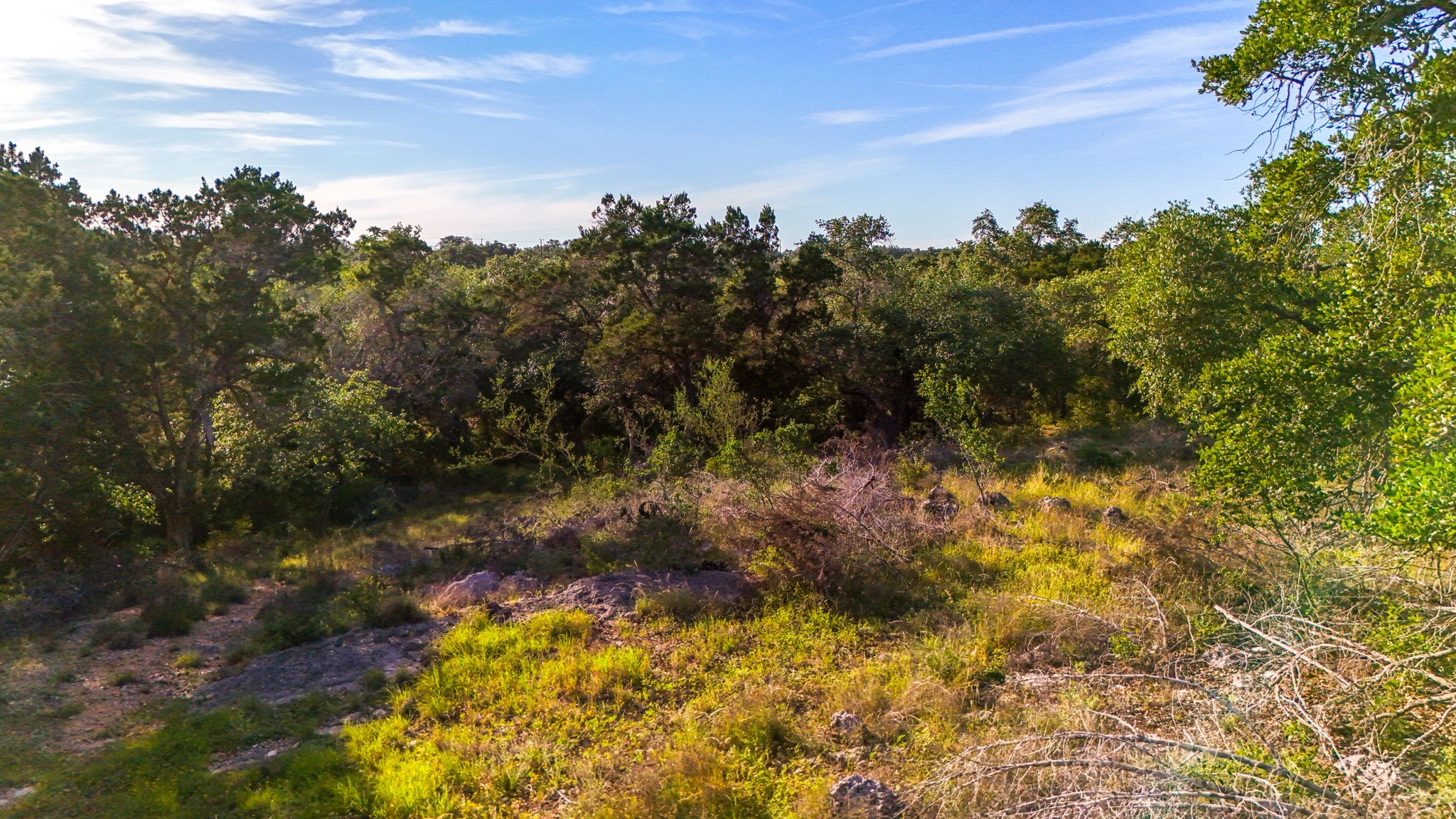 2171 Stagecoach Way photo 12