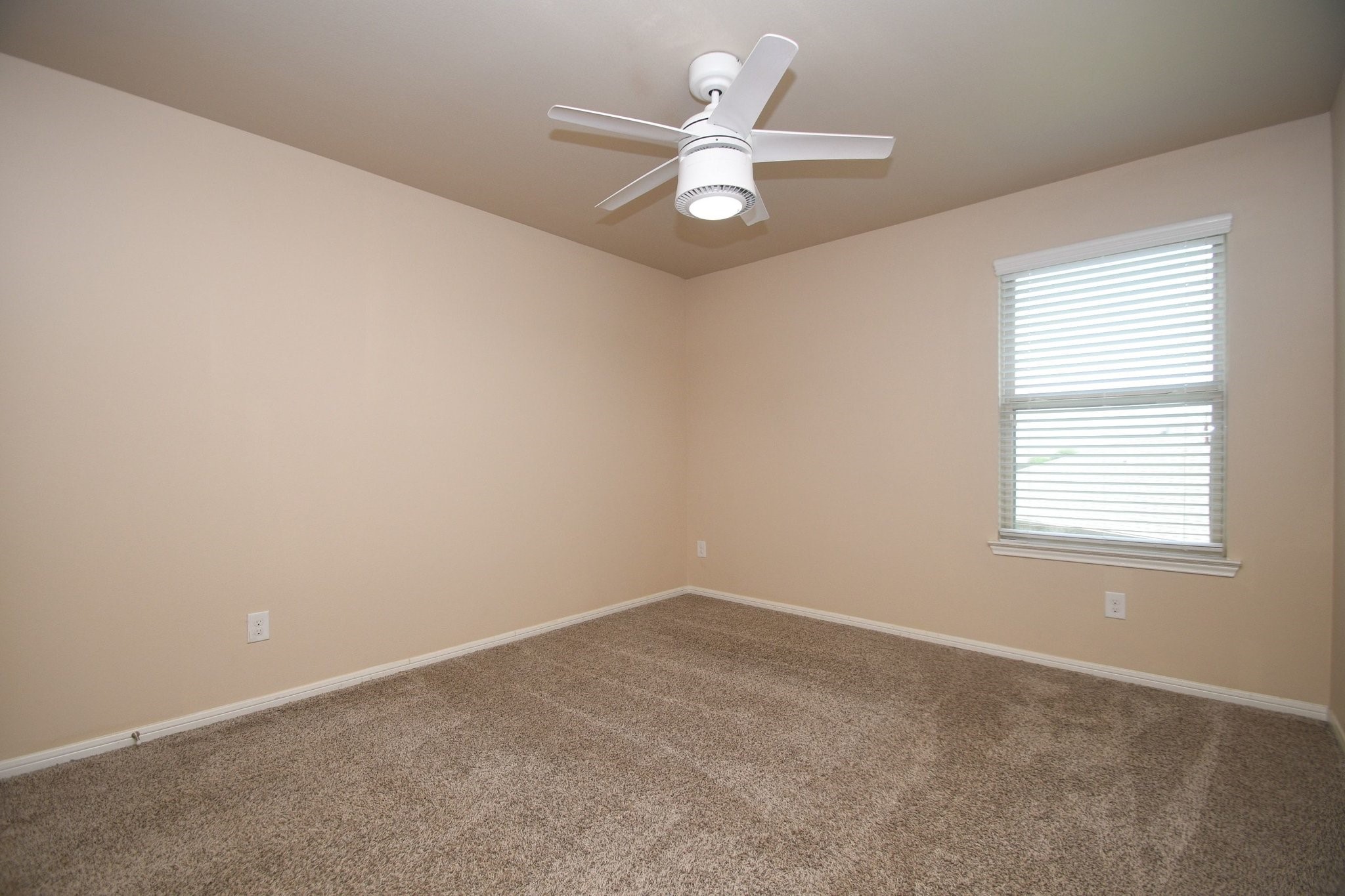 29251 Jacobs River Drive photo 34