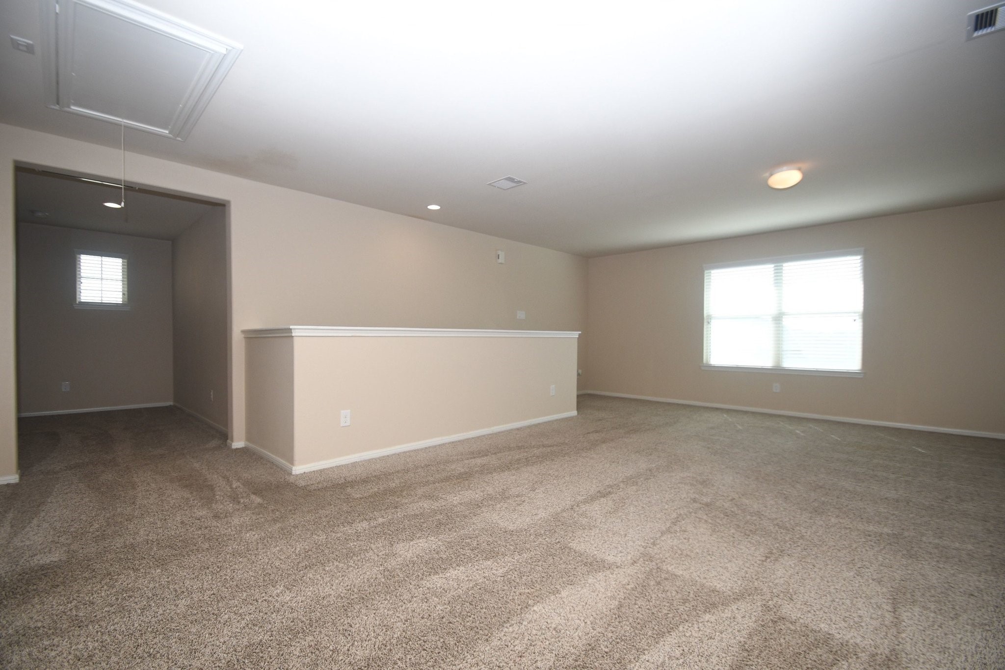 29251 Jacobs River Drive photo 36
