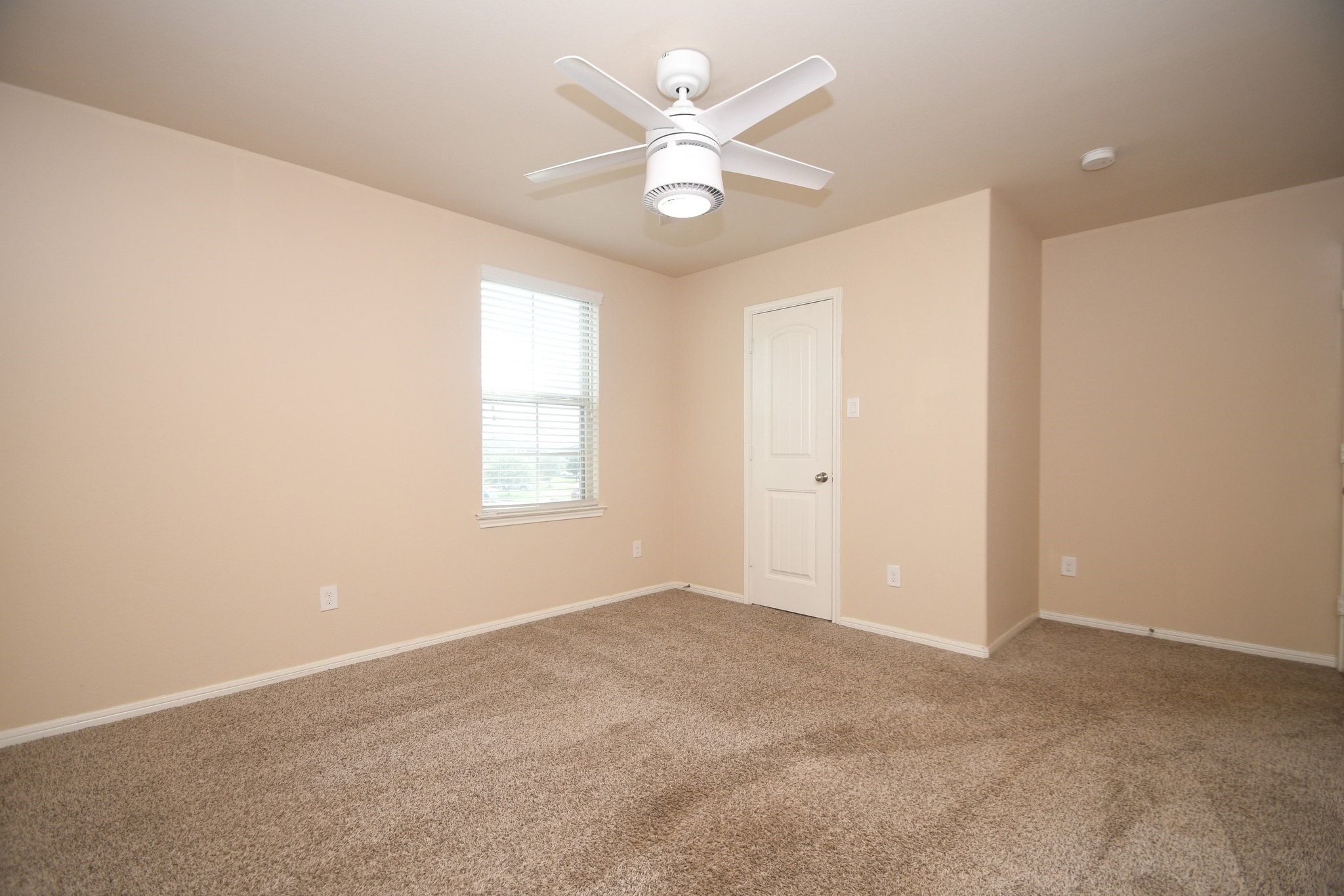 29251 Jacobs River Drive photo 41