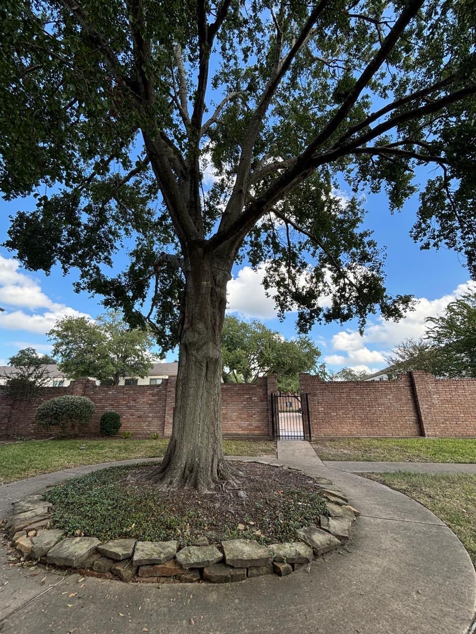 14567 Still Meadow Drive photo 39