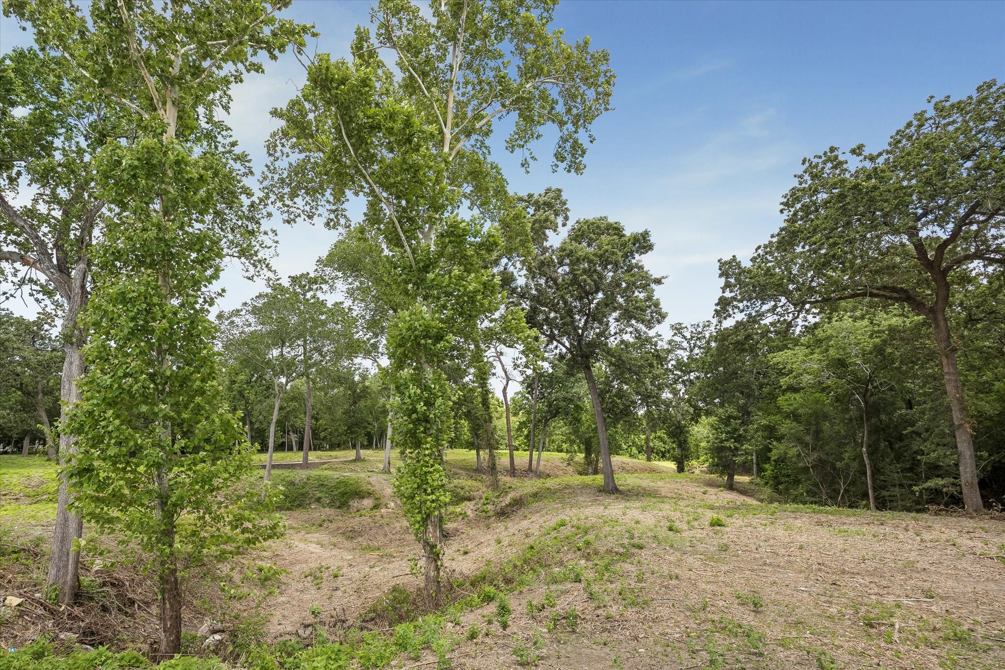 0 Deerwood Drive photo 2