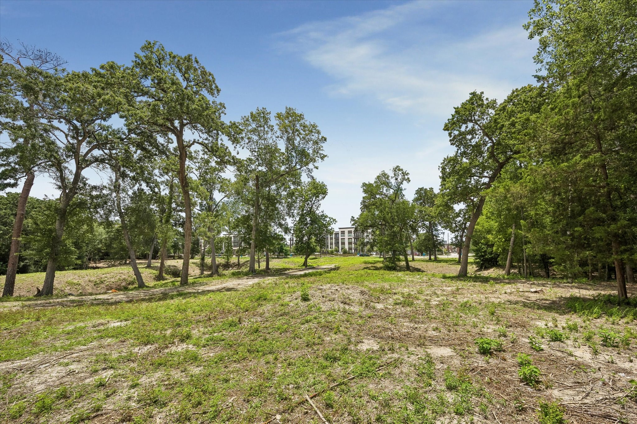 0 Deerwood Drive photo 11