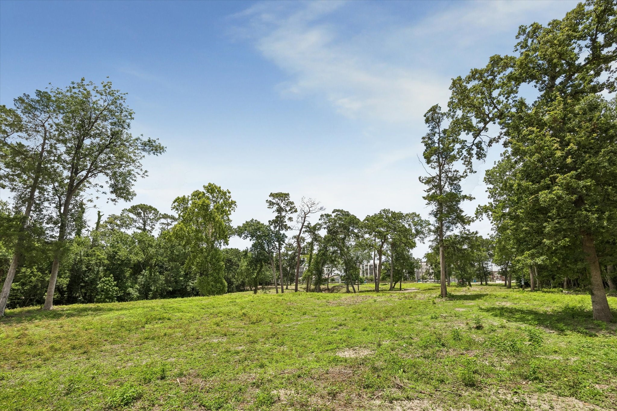 0 Deerwood Drive photo 13