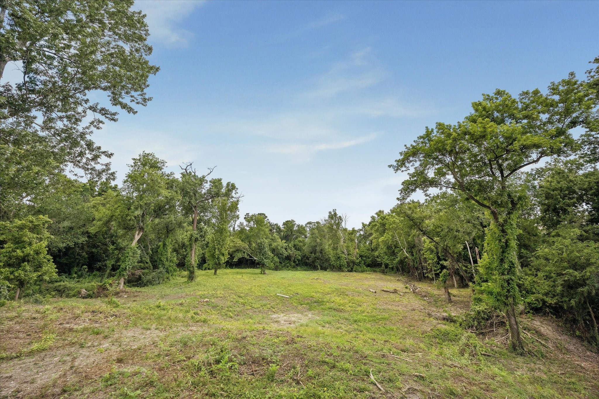 0 Deerwood Drive photo 14