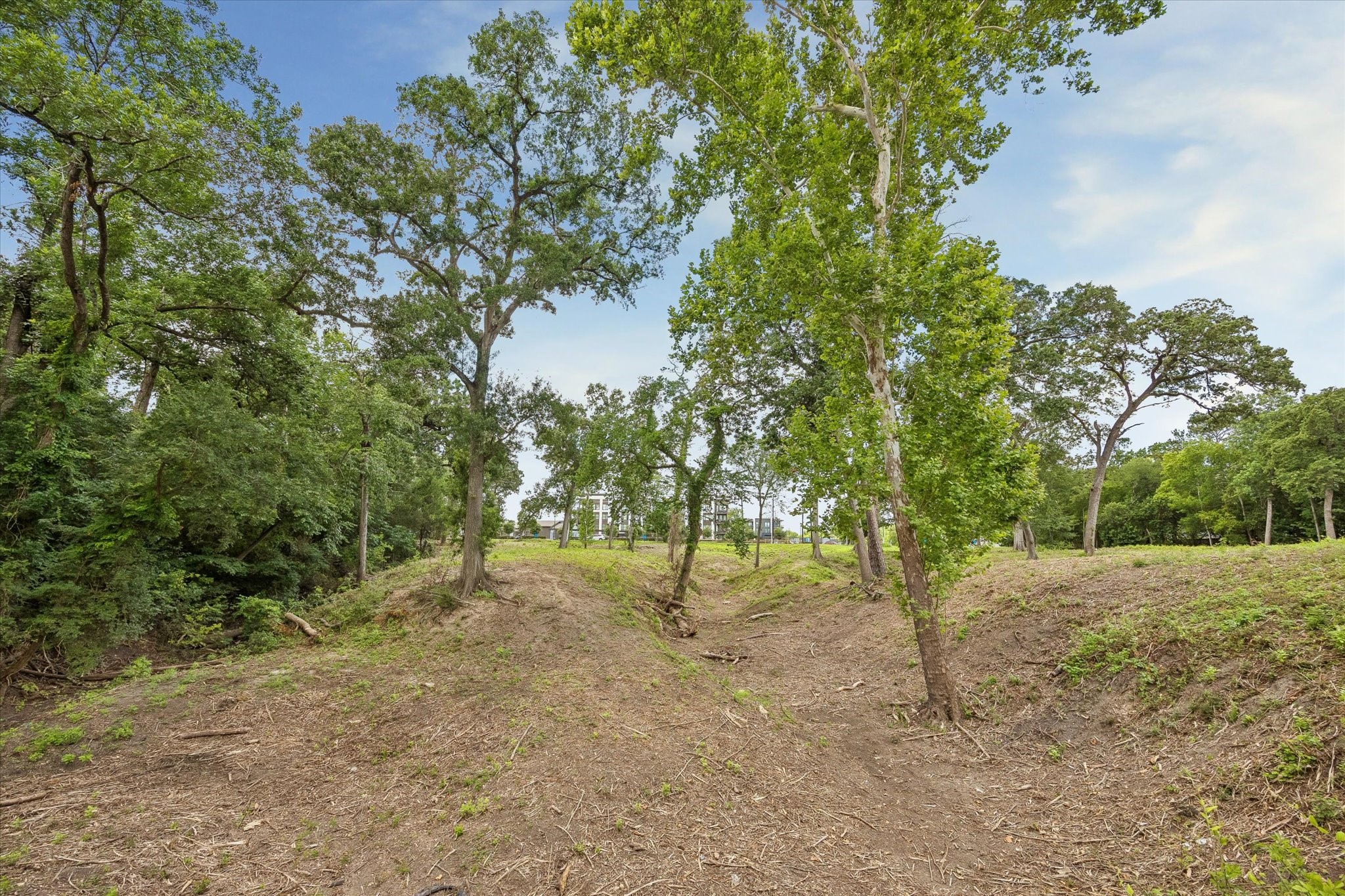 0 Deerwood Drive photo 15