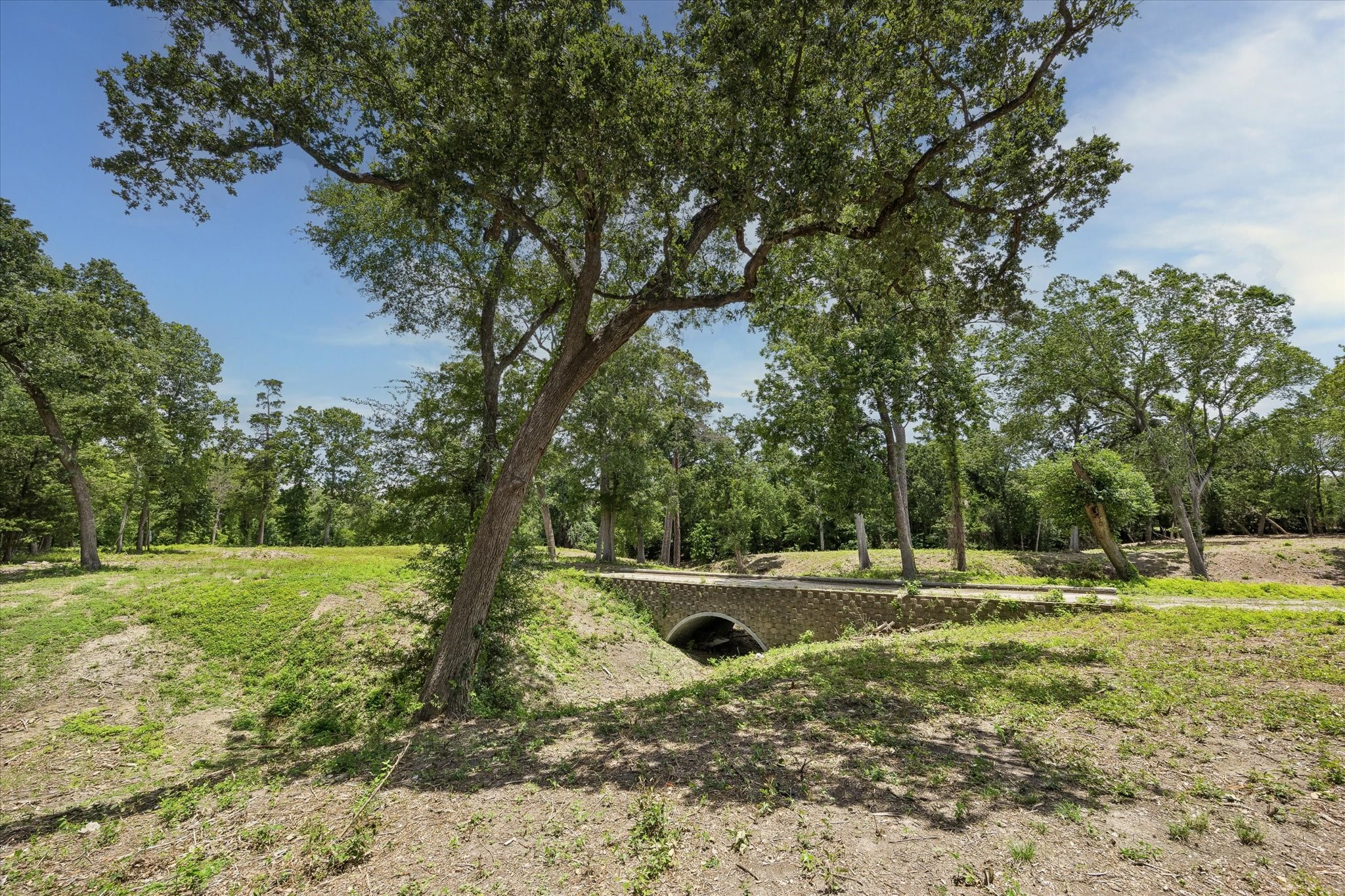 0 Deerwood Drive photo 6