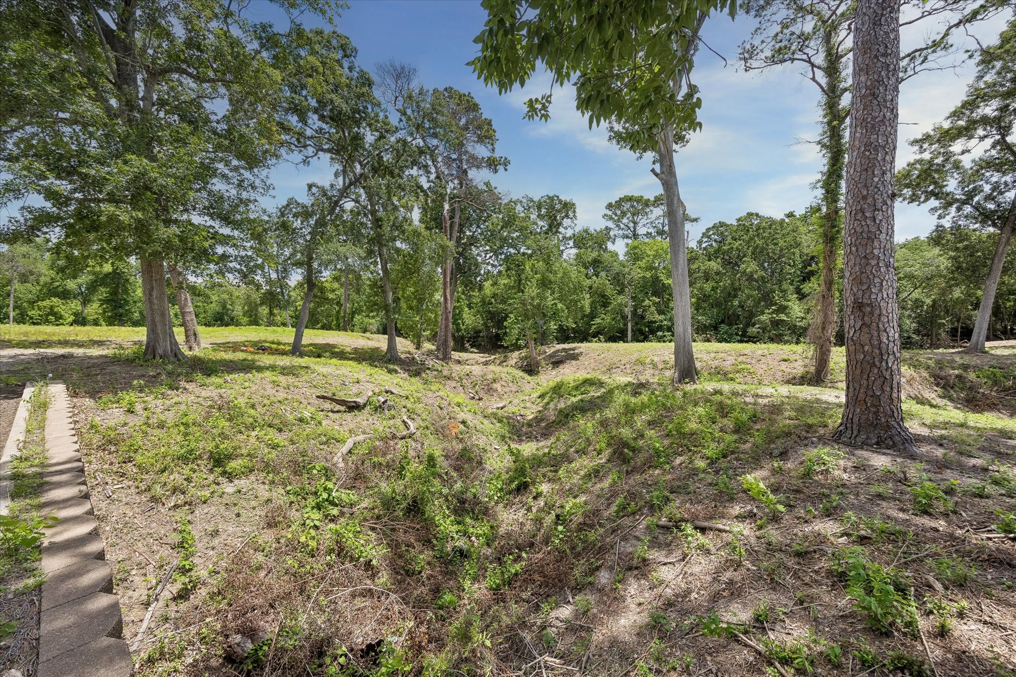0 Deerwood Drive photo 9