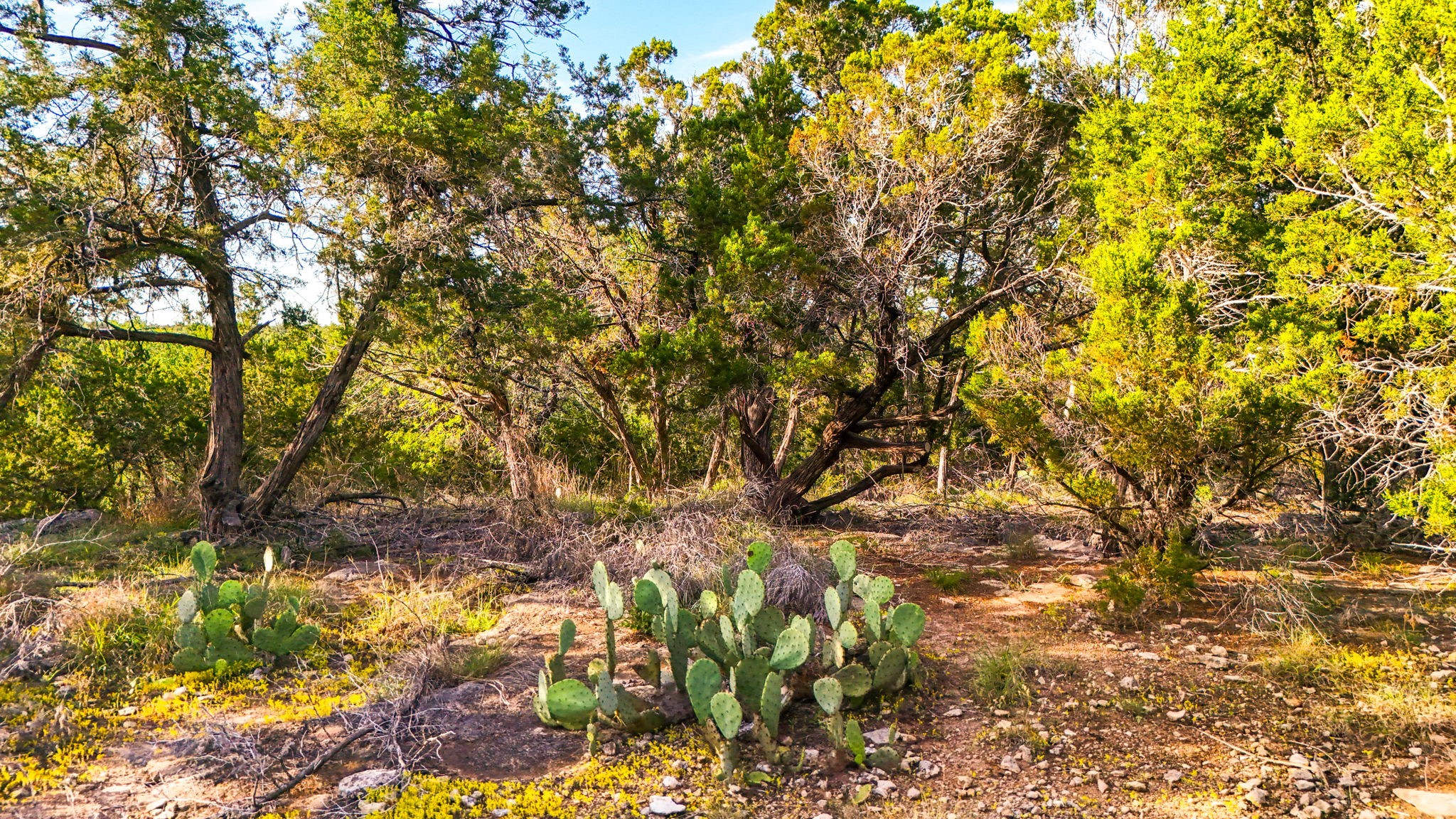 2163 Stagecoach Way photo 15