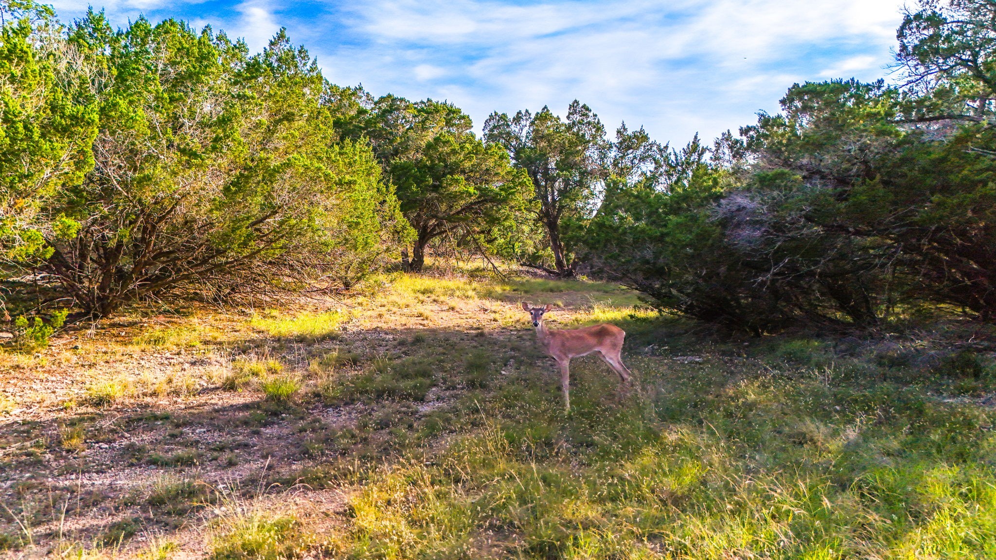 2163 Stagecoach Way photo 16