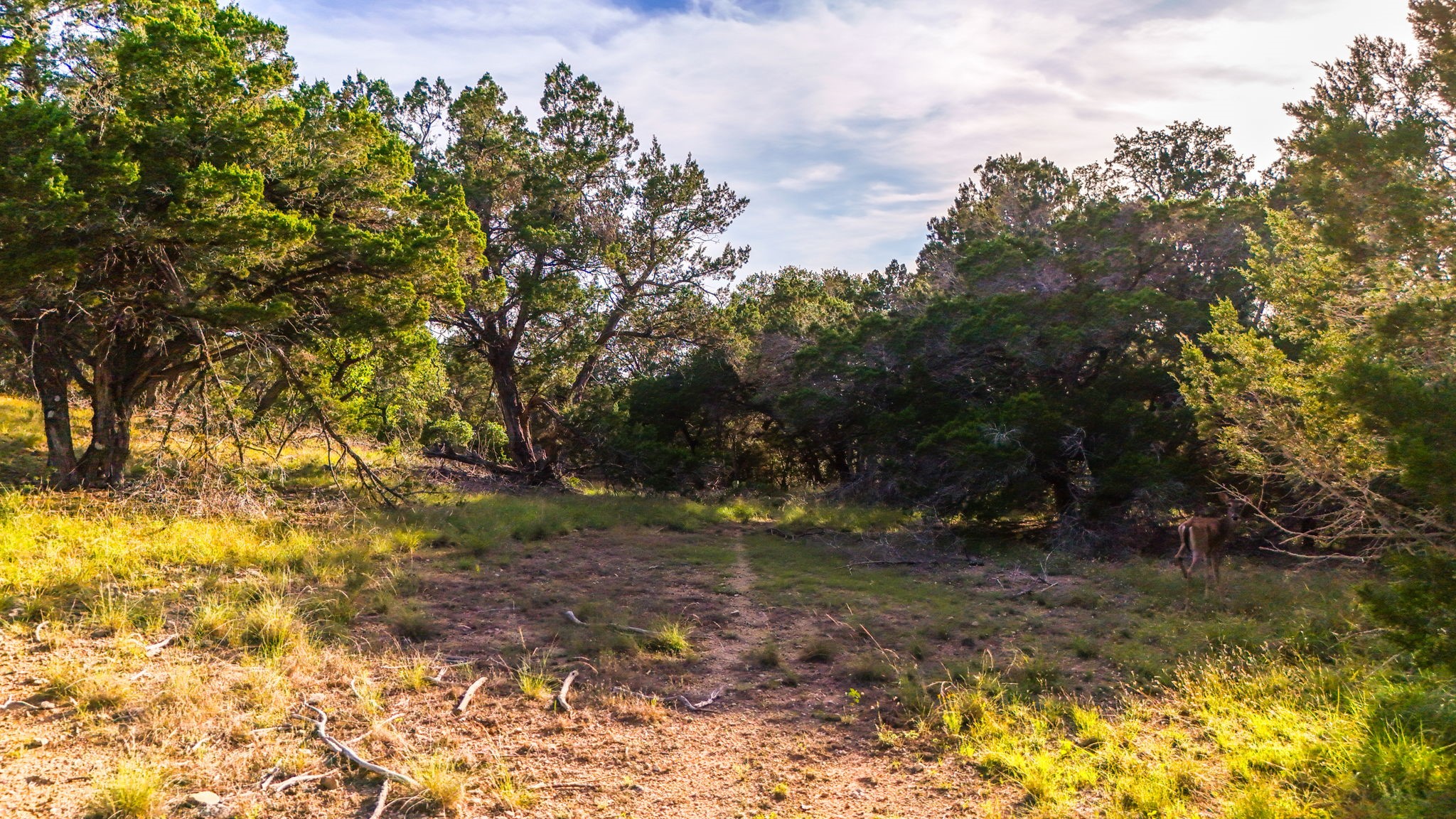 2163 Stagecoach Way photo 18
