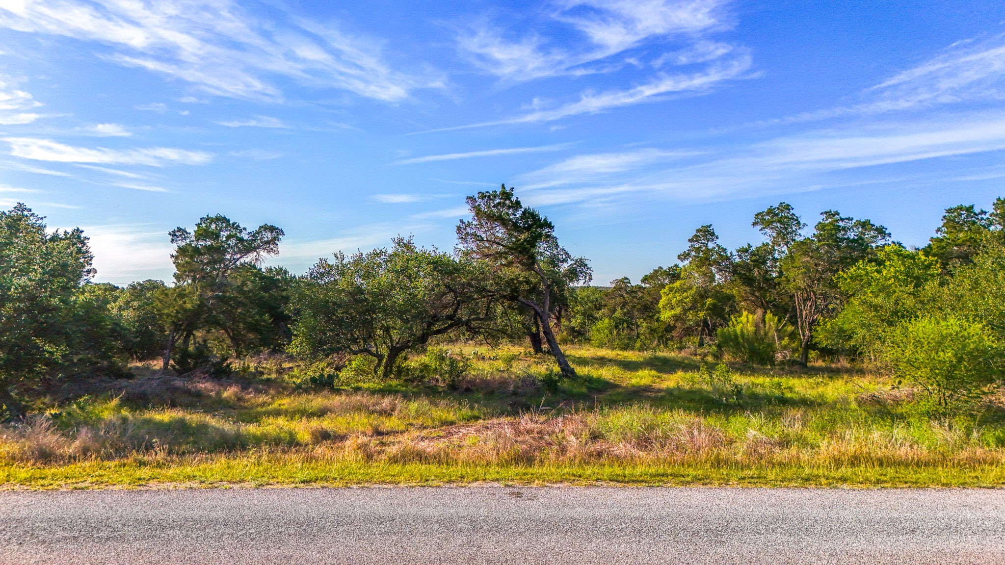 2163 Stagecoach Way photo 7