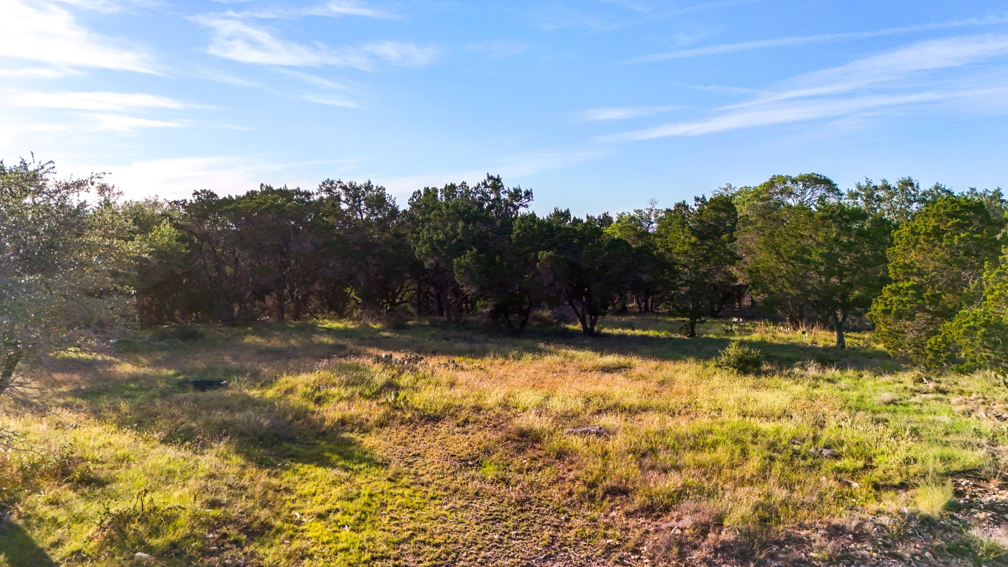 2163 Stagecoach Way photo 8